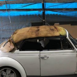 IMG_8575 (1)